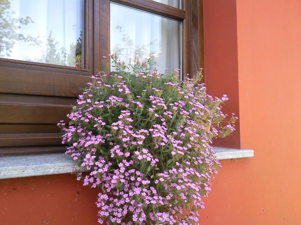 Apartamentos Rurales La Gueertona Ardines Esterno foto